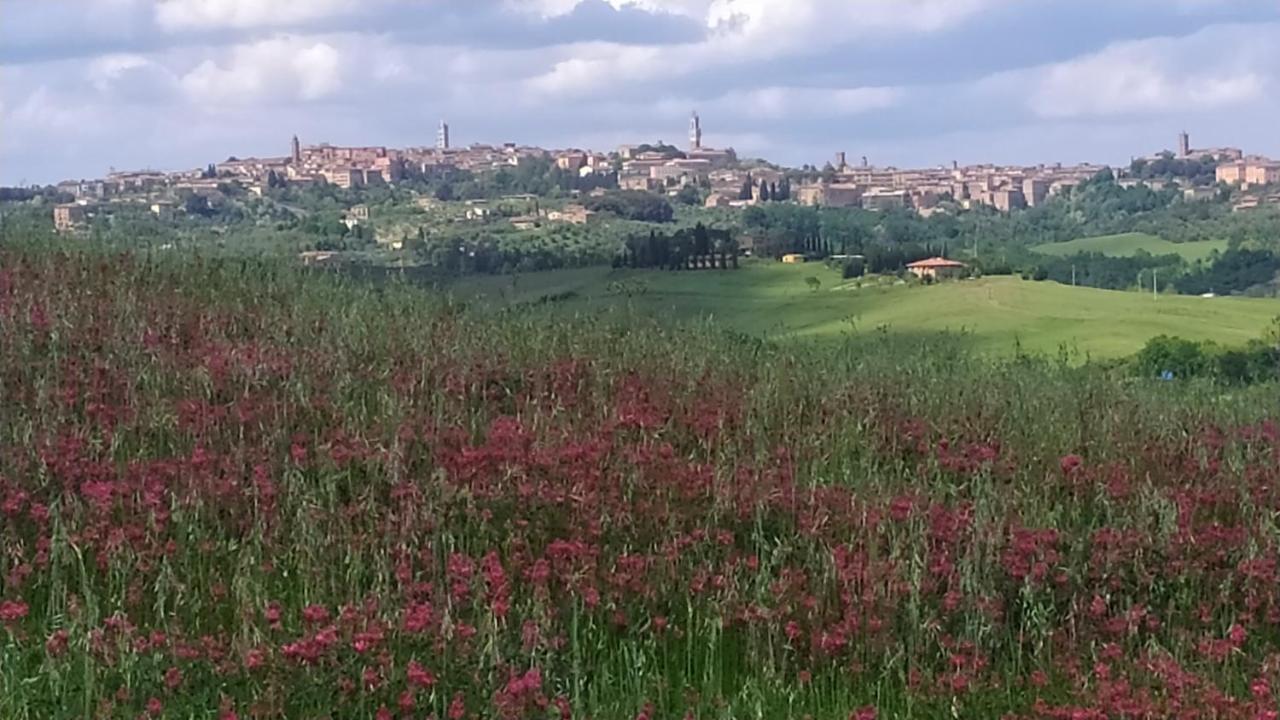 Dago Farmhouse Siena Eksteriør billede